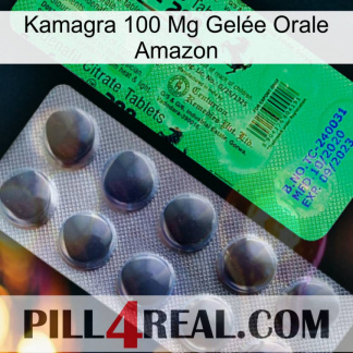 Kamagra 100 Mg Gelée Orale Amazon new04
